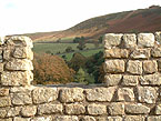 Vondolanda